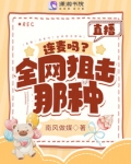 直播:连麦吗?全网狙击那种