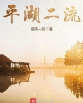 平湖二流