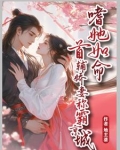 首辅娇妾小说