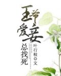王爷爱妾总找死