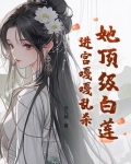 顶级白莲本色出演,穿书