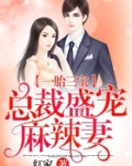 一胎三宝：总裁盛宠麻辣妻