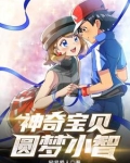 神奇宝贝圆梦小智
