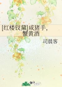 红楼钗黛咸猪手蟹黄酒全文免费阅读