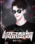 极品赘婿