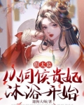 假太监贵妃小说