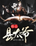 极品县太爷小说阅读