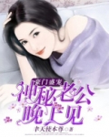 豪门盛宠：神秘老公晚上见