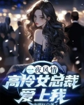 一夜风情，高冷女总裁爱上我
