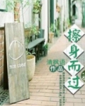 擦身而过