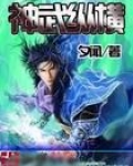 神武纵横
