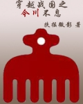 穿越战国之今川不息