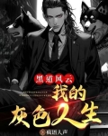 黑道风云之我的灰色人生