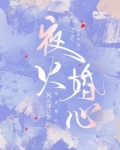 夜婚结局