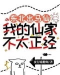 东北出马仙啥意思