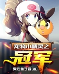 宠物小精灵之冠军