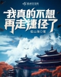 我真的不想再走捷径了