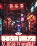 港综：穿越追龙，从军装开始崛起