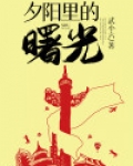 夕阳里的曙光