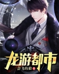 龙游都市短剧100集完结视频