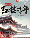 重生于红楼末年