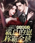 离婚后,时小姐带着霸总的崽称霸全球