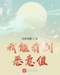 我能看到恶意值