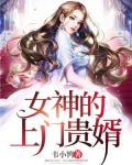 女神的上门贵婿