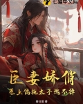 臣妻小说推荐