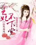 王妃不花烛 小说