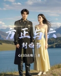小说方正