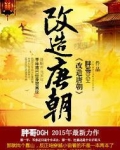 唐朝改革家