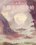巫师：从骑士学院开始