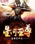 星河至尊