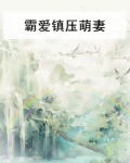 霸爱惊婚