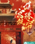 宫锁珠帘小说