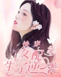 快穿：女配靠生子逆袭