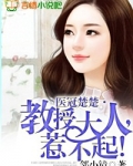 医冠楚楚·教授大人，惹不起！