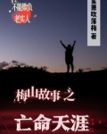 梅山故事之亡命天涯