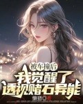 被车撞后，我觉醒了透视赌石异能