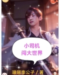 小司机闯大世界小说