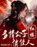 红楼:重生贾环文武双全_