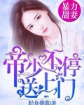 暴力甜妻：帝少不停送上门