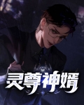 灵尊神婿