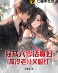 穿成六零活寡妇，高冷老公又脸红