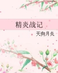 精炎战记结局