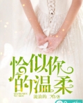恰似你的温柔