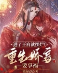 重生王府小妾养儿