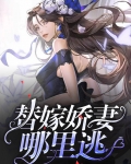 替嫁娇妻;简介有看书渠道[摸头]