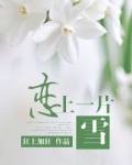 恋上一片雪小说在线阅读